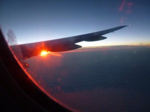 SunUnderTheWing